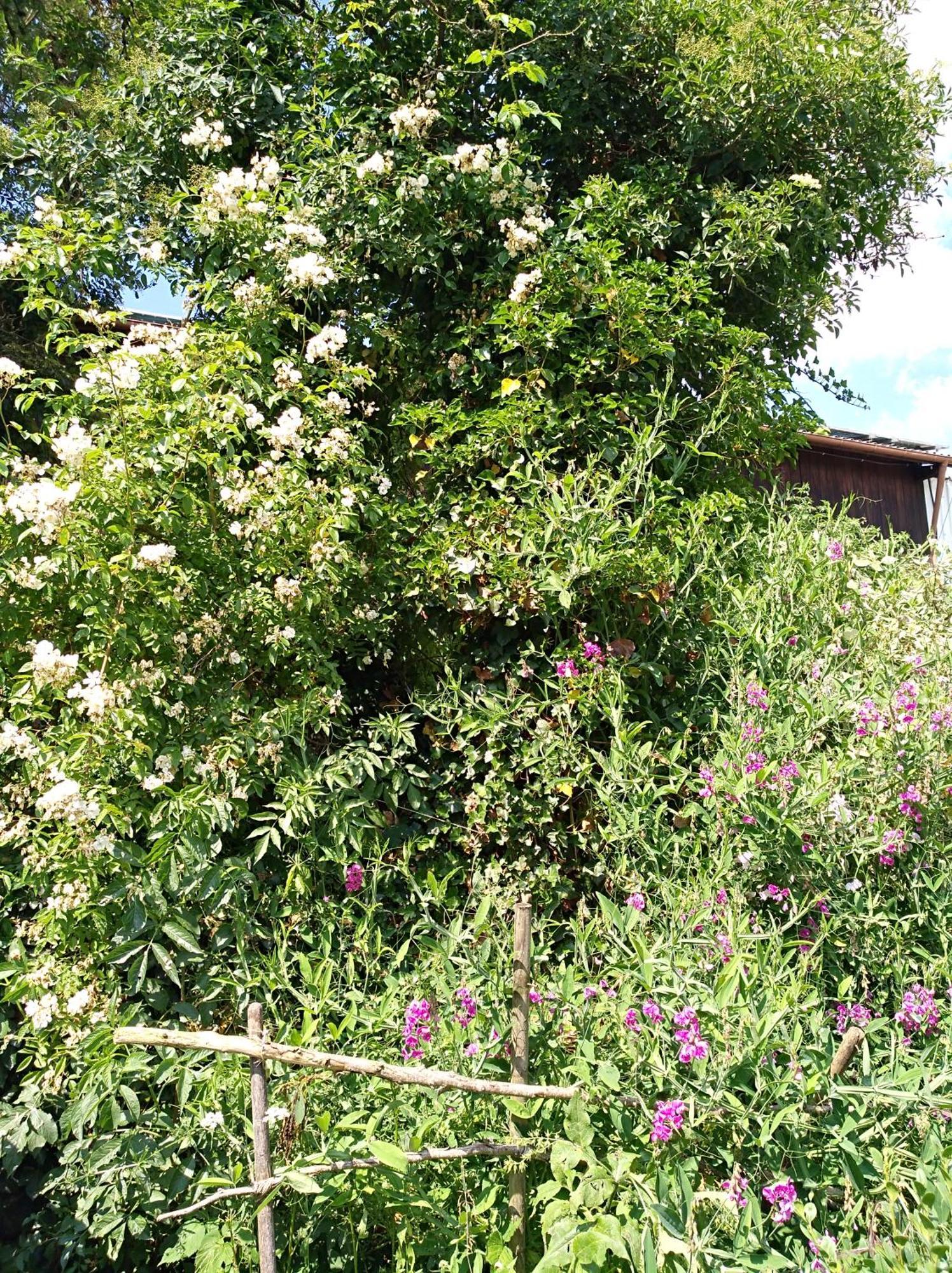 Landhaus Fohlenhof Mehrstetten ภายนอก รูปภาพ